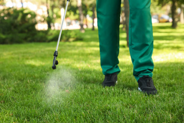 Best Wasp Removal Services  in De Soto, KS